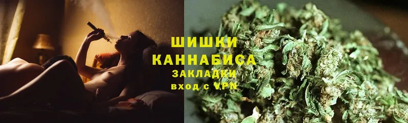 Бошки марихуана THC 21%  Пестово 